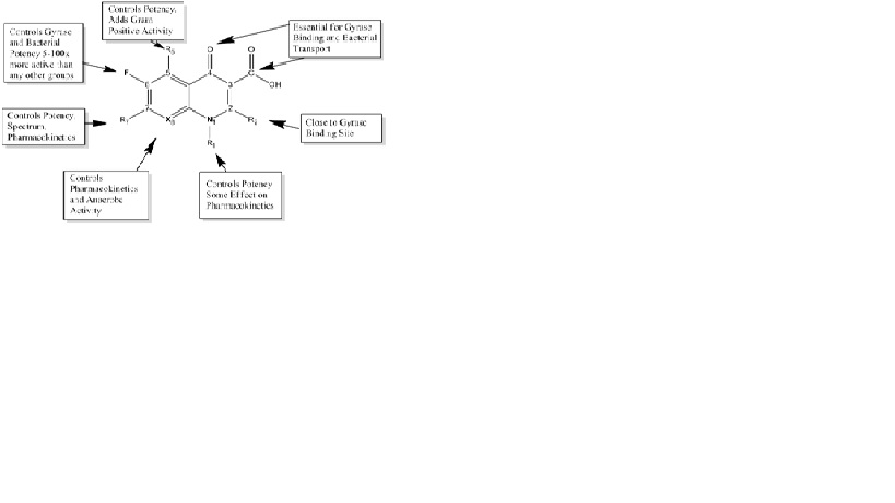 A diagram presenting chemical structure-side effect relationships for the quinolone antibiotics